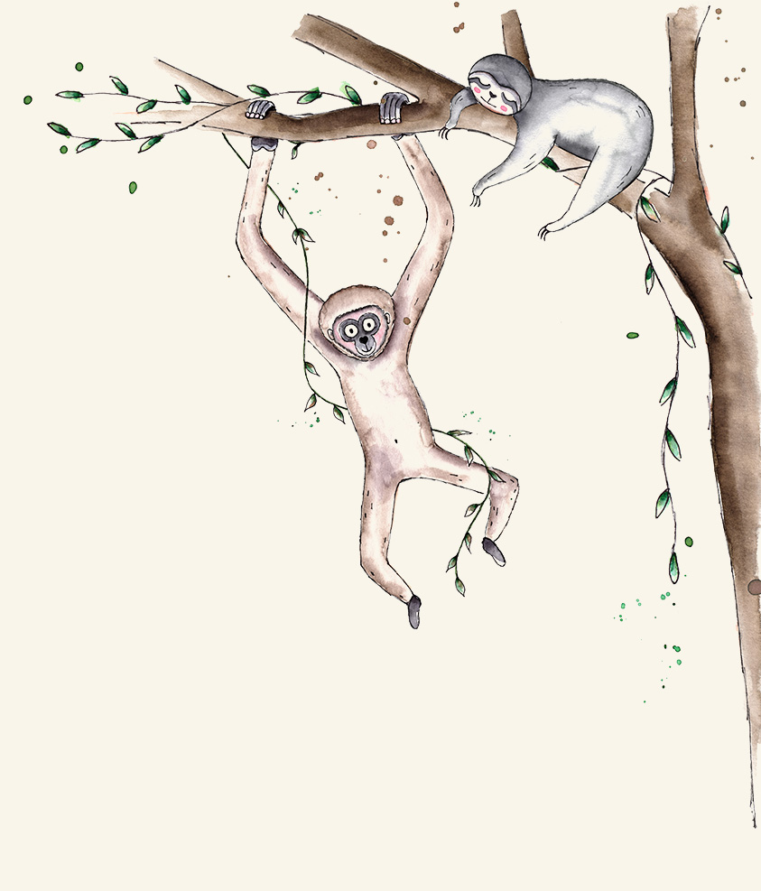monkey-and-sloth-in-tree