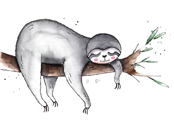Branch with sloth