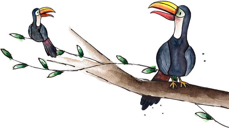 Toekan on branch