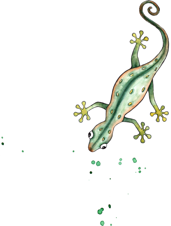 Gecko