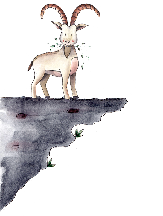 Ibex