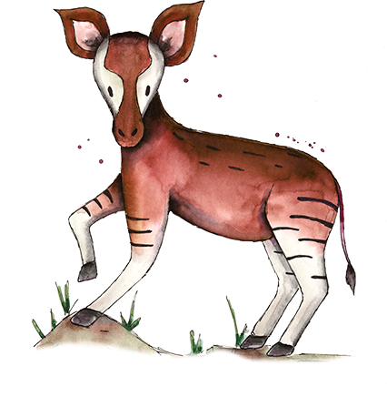 Okapi