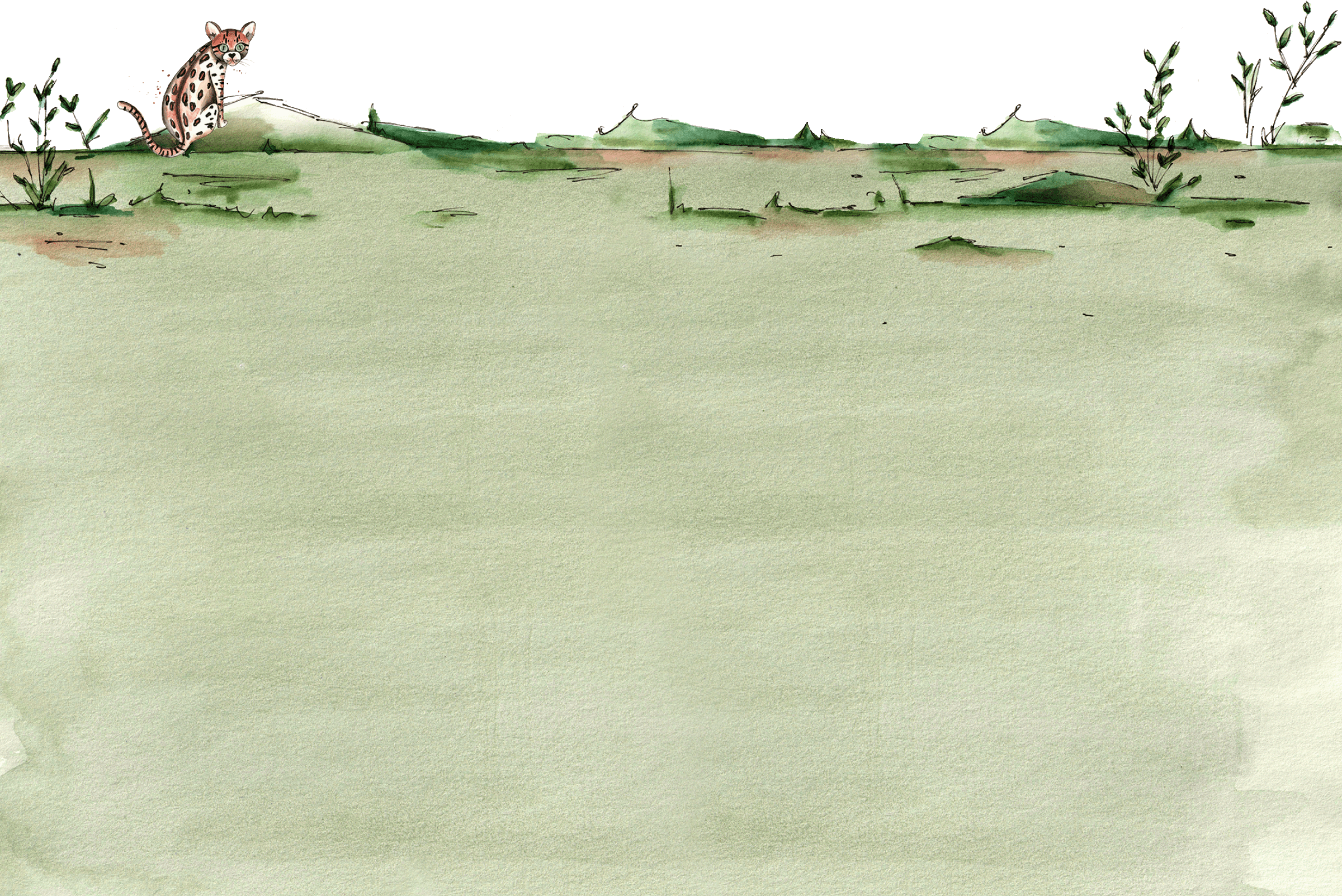 Footer background